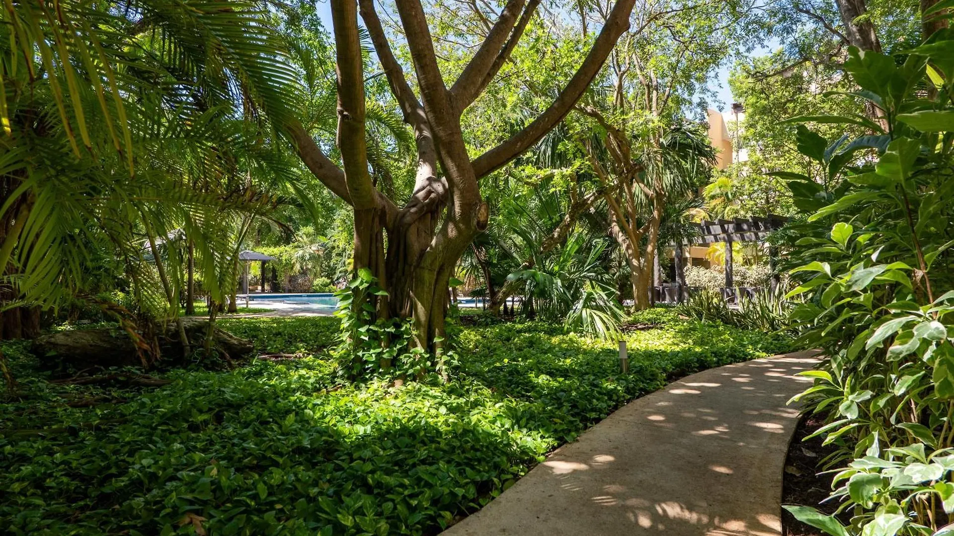 Vaiven Apartman Playa del Carmen Mexikó